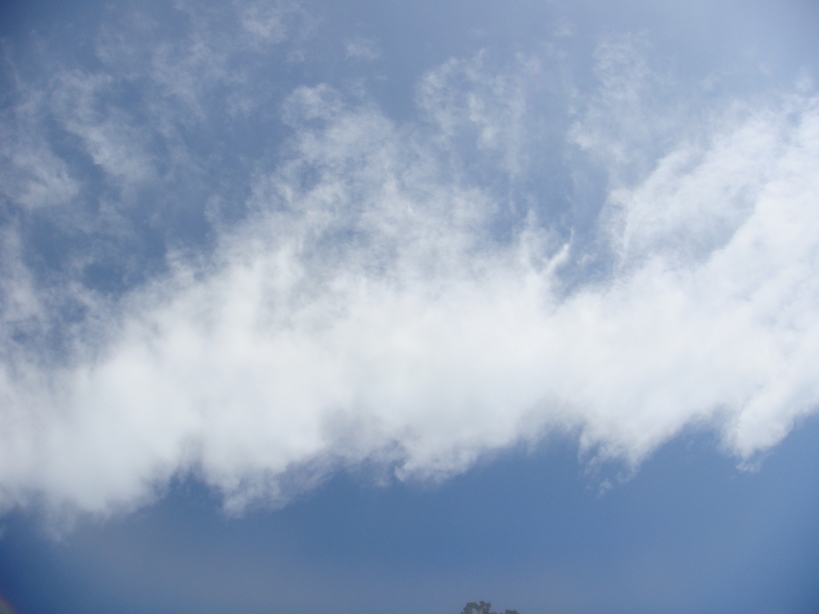 �{���Č����L