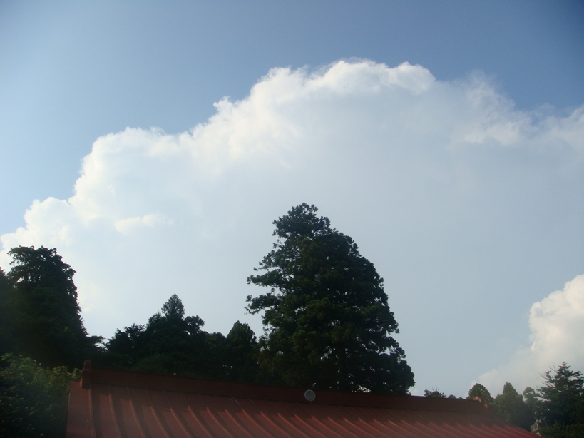 �{���Č����L