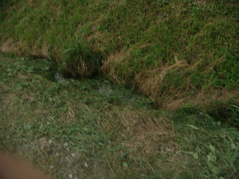 �{���Č����L