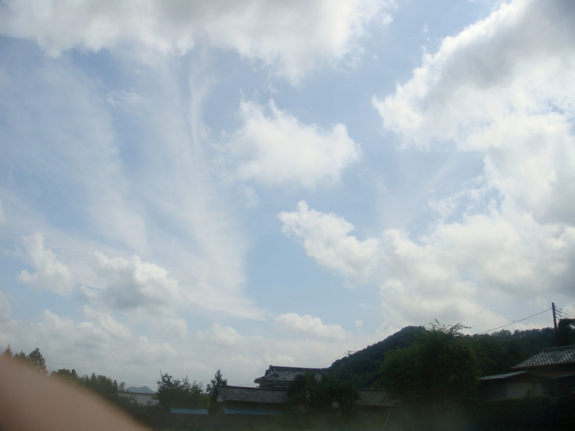 �{���Č����L