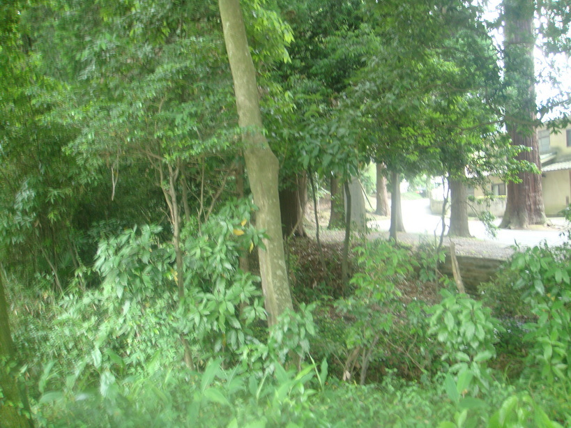 �{���Č����L