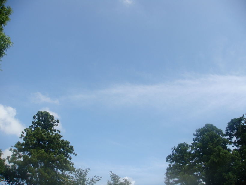 �{���Č����L