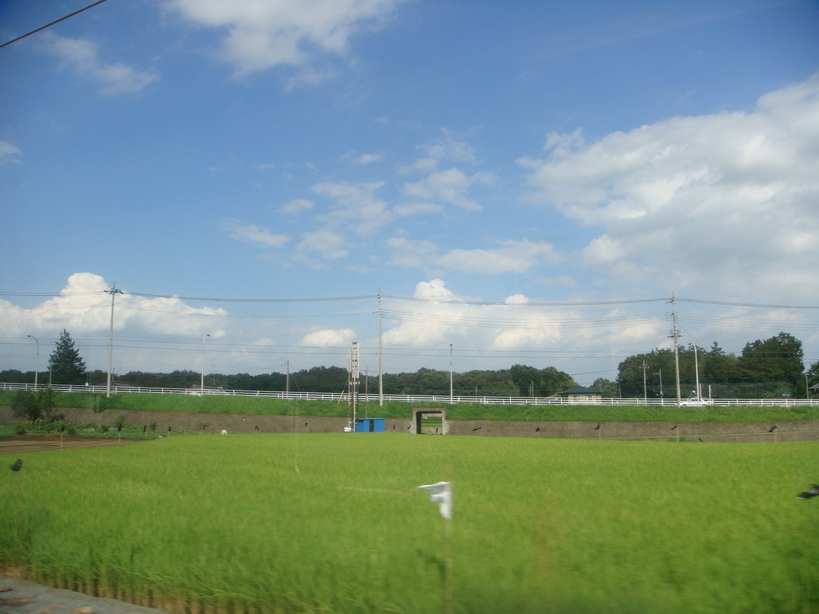 �{���Č����L