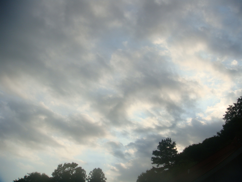 �{���Č����L