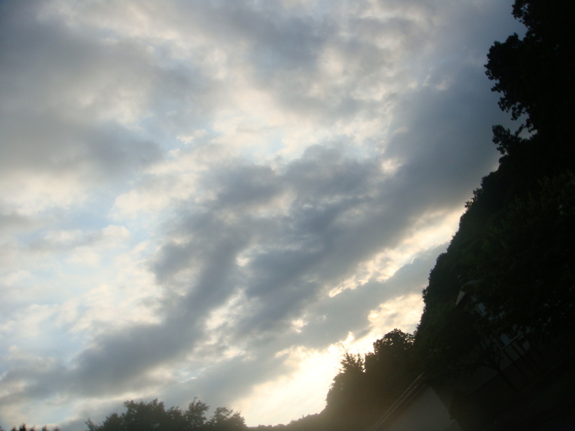 �{���Č����L