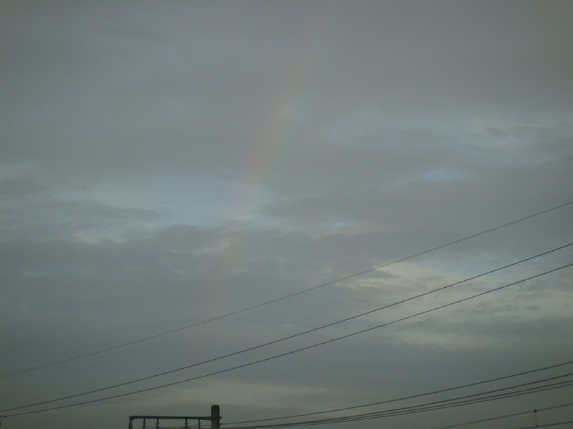 �{���Č����L