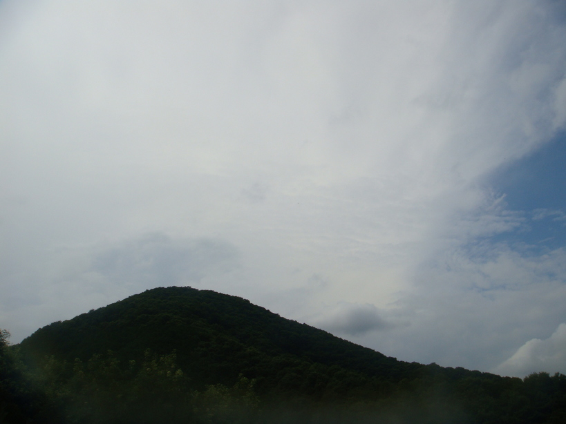 �{���Č����L