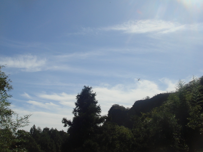 �{���Č����L