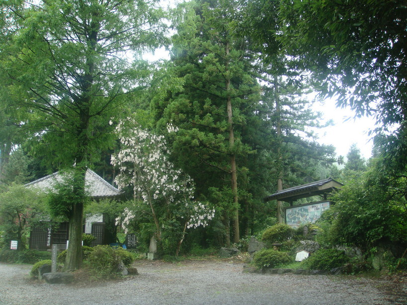 �{���Č����L