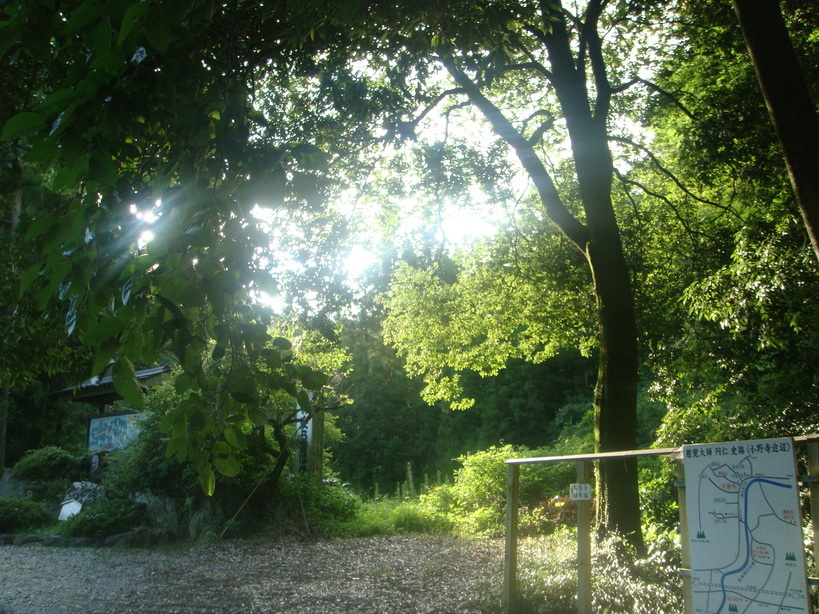 �{���Č����L