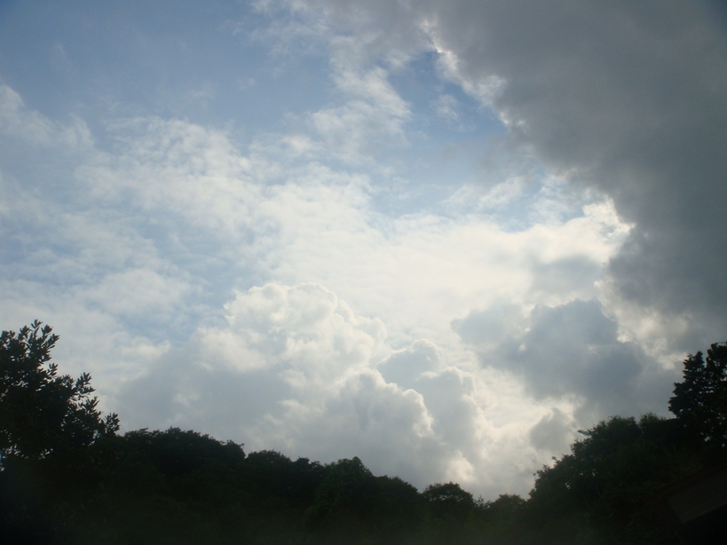 �{���Č����L