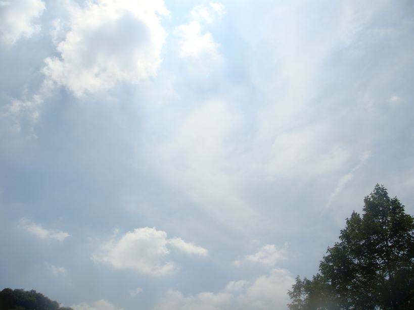 �{���Č����L