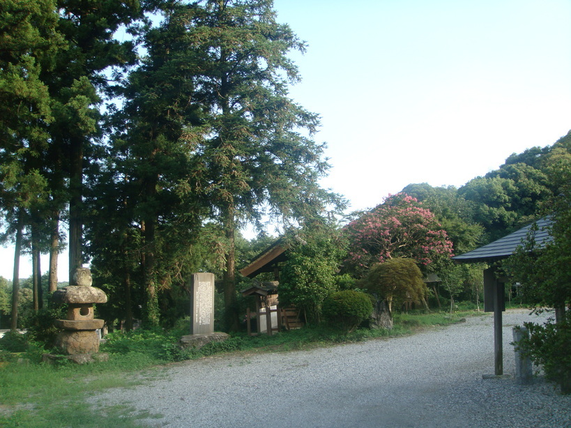 �{���Č����L