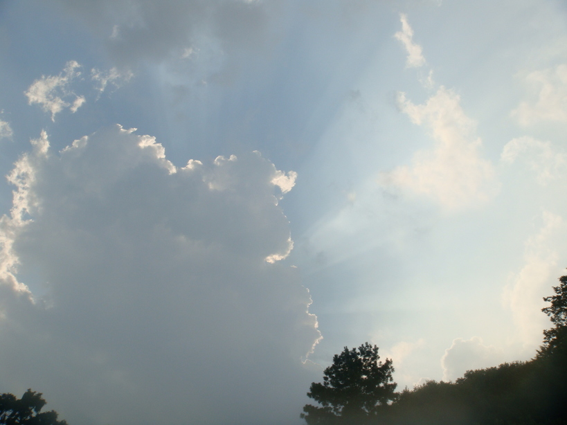 �{���Č����L