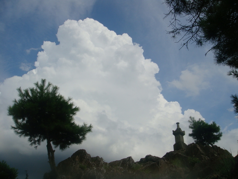 �{���Č����L