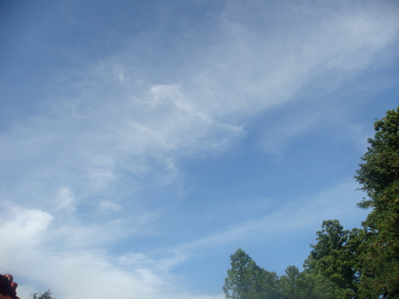 �{���Č����L