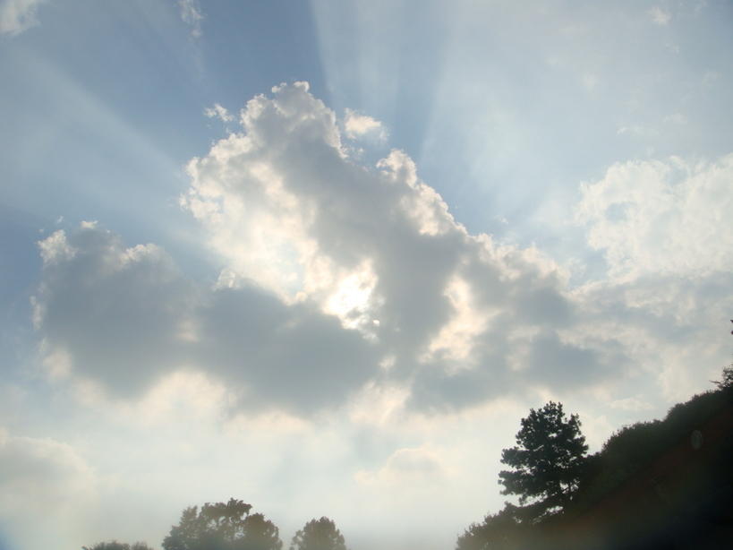 �{���Č����L