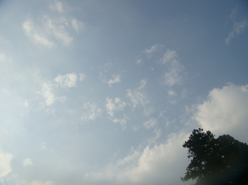 �{���Č����L