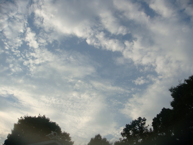 �{���Č����L