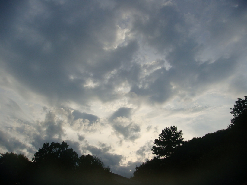 �{���Č����L