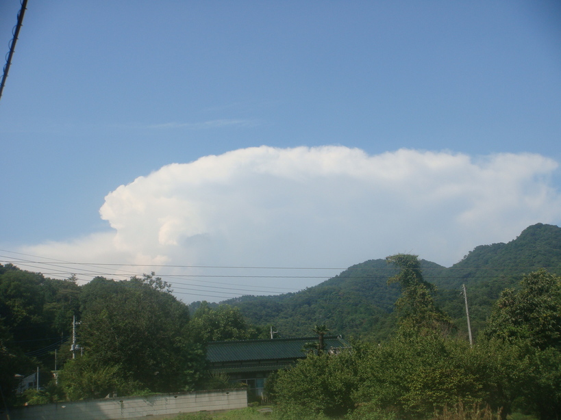 �{���Č����L