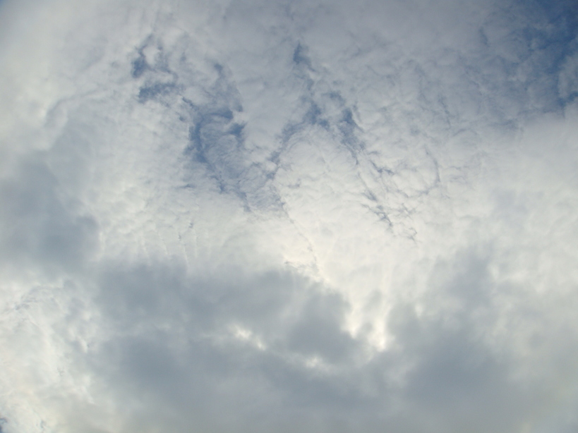 �{���Č����L