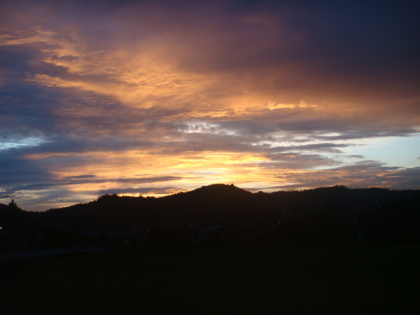 �{���Č����L