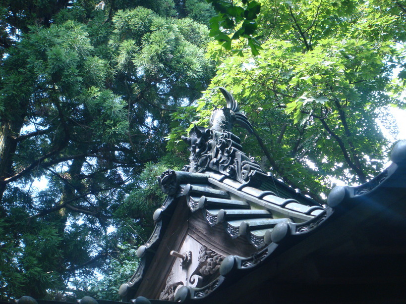 �{���Č����L