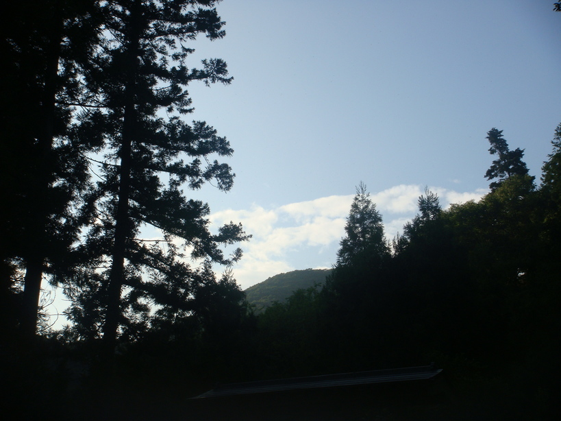 �{���Č����L