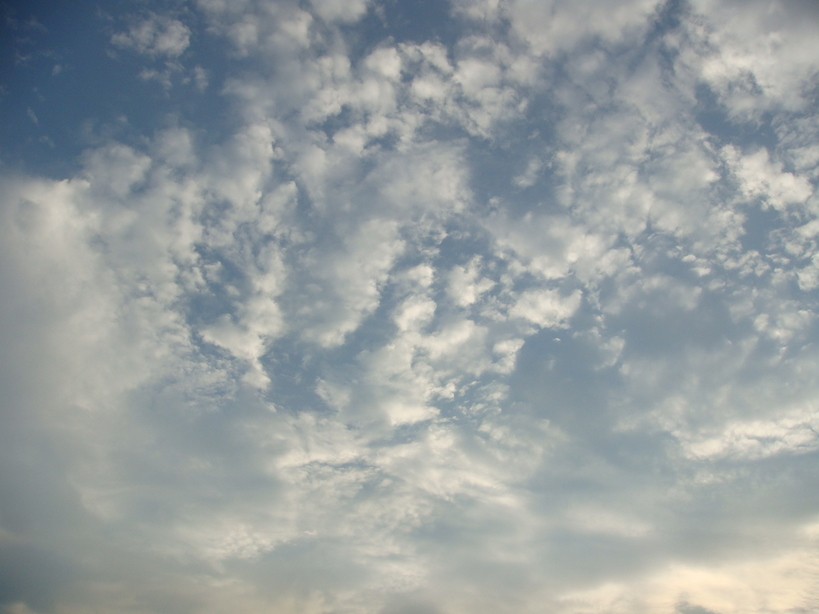 �{���Č����L