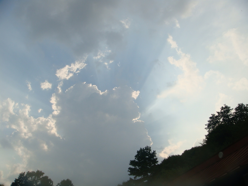 �{���Č����L