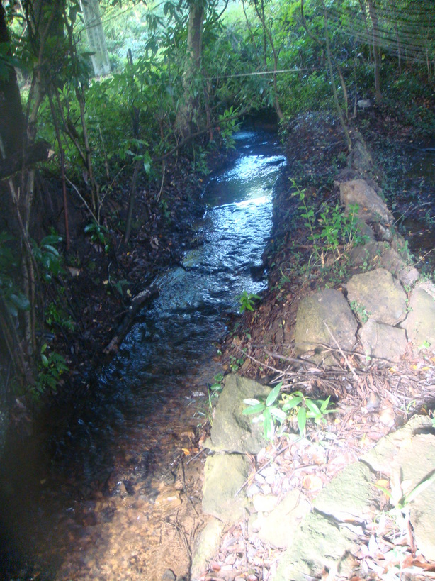 �{���Č����L