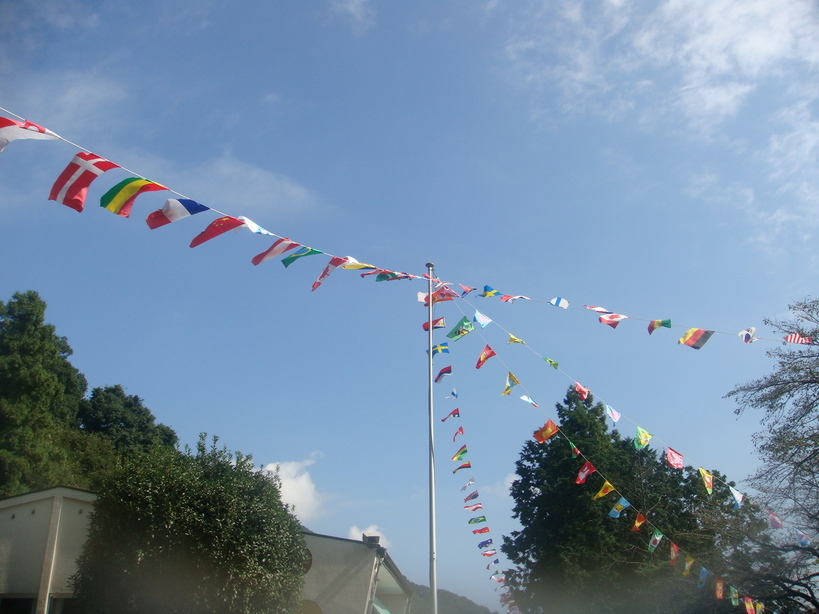 �{���Č����L