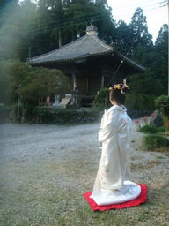 �{���Č����L