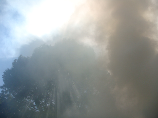 �{���Č����L