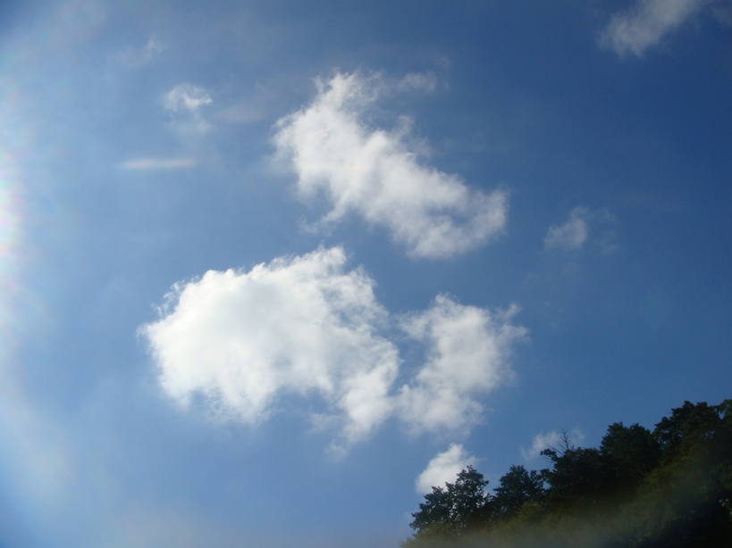 �{���Č����L