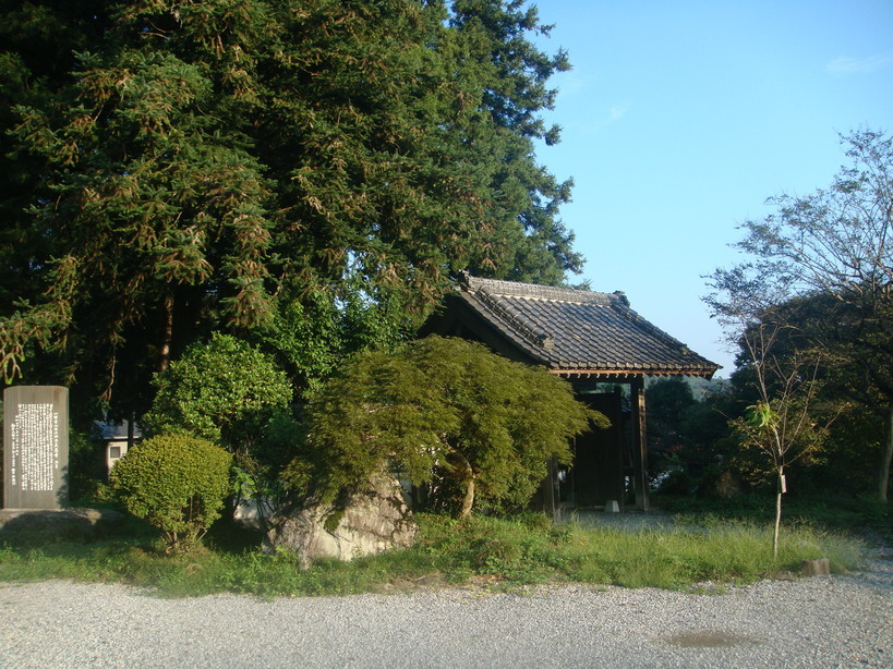 �{���Č����L