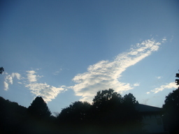 �{���Č����L