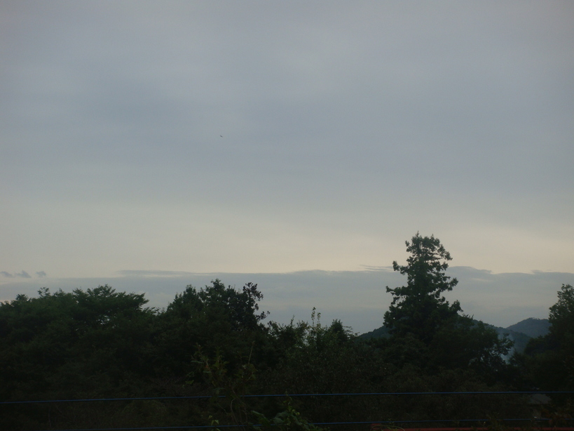 �{���Č����L