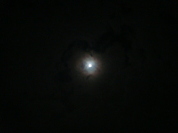 �{���Č����L