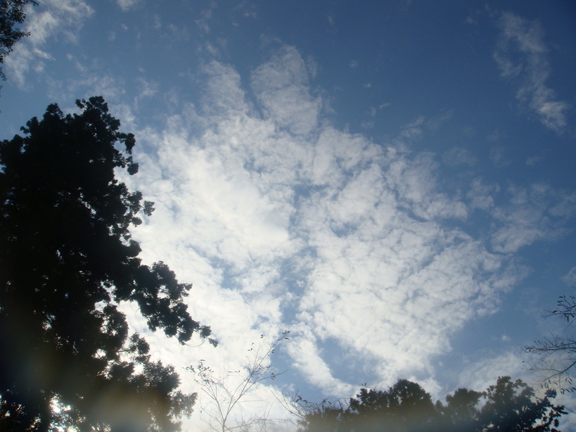 �{���Č����L