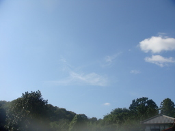 �{���Č����L