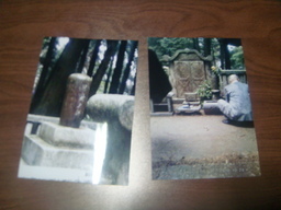 �{���Č����L