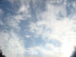 �{���Č����L