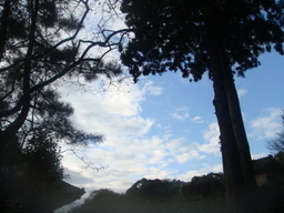 �{���Č����L