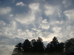 �{���Č����L