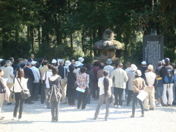 �{���Č����L