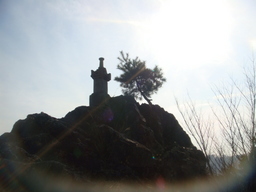 �{���Č����L