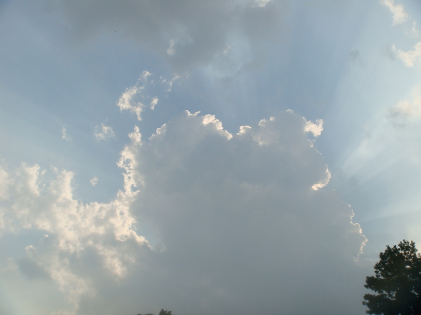 �{���Č����L