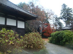 �{���Č����L